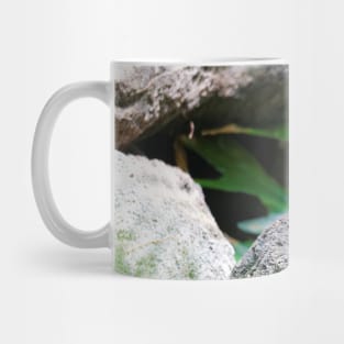 A Dashing Figure in Blue, Green, and Russet: African Superb Starling Mug